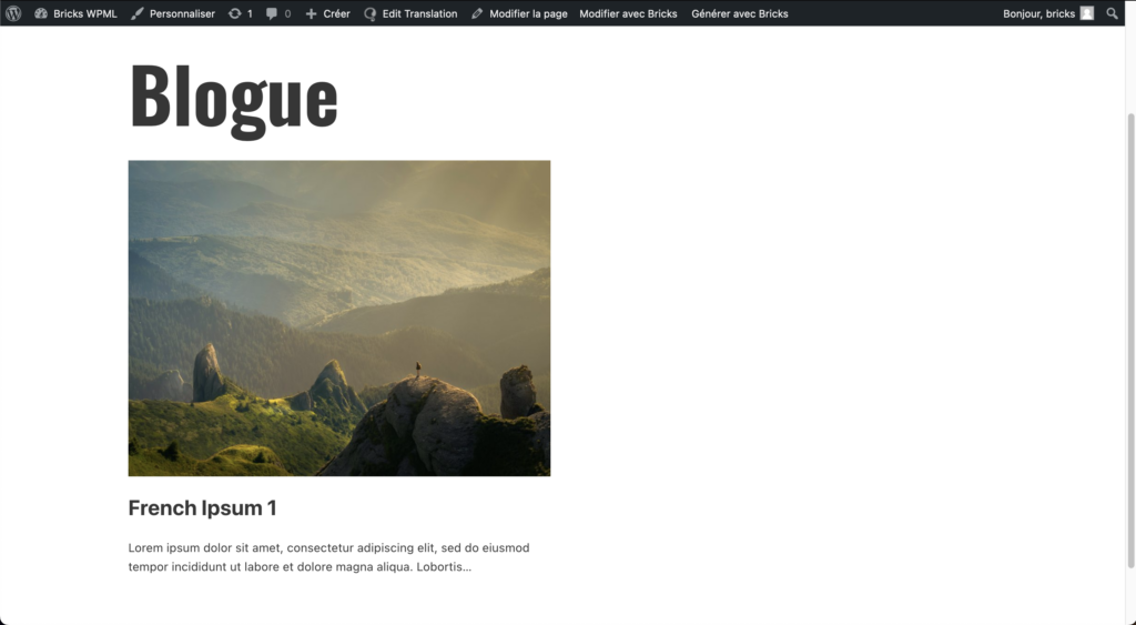 Blogue فرانسوی